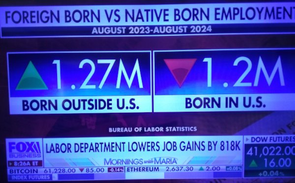 Foreign Born Replacing US Citizens